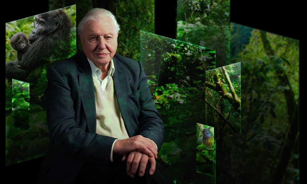 Our Story with David Attenborough: NHM's Immersive Show Extended
