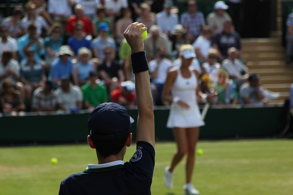 A tennis ball resting on the white line of a grass court