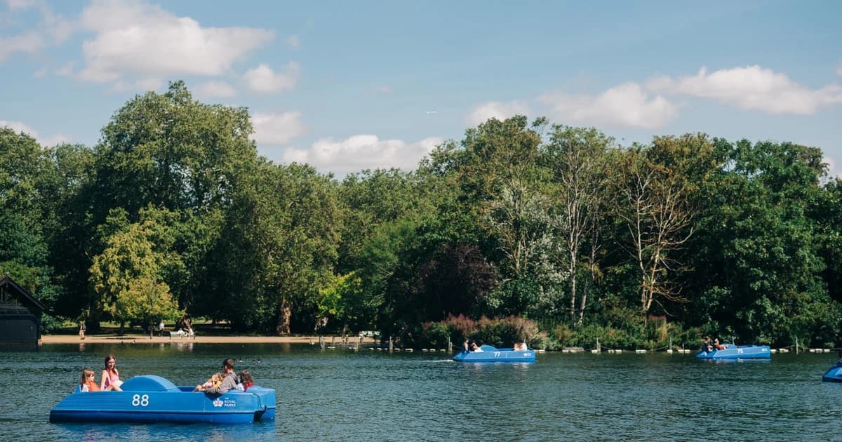 Blue pedal boats moored on a park lake on a sunny summer day
