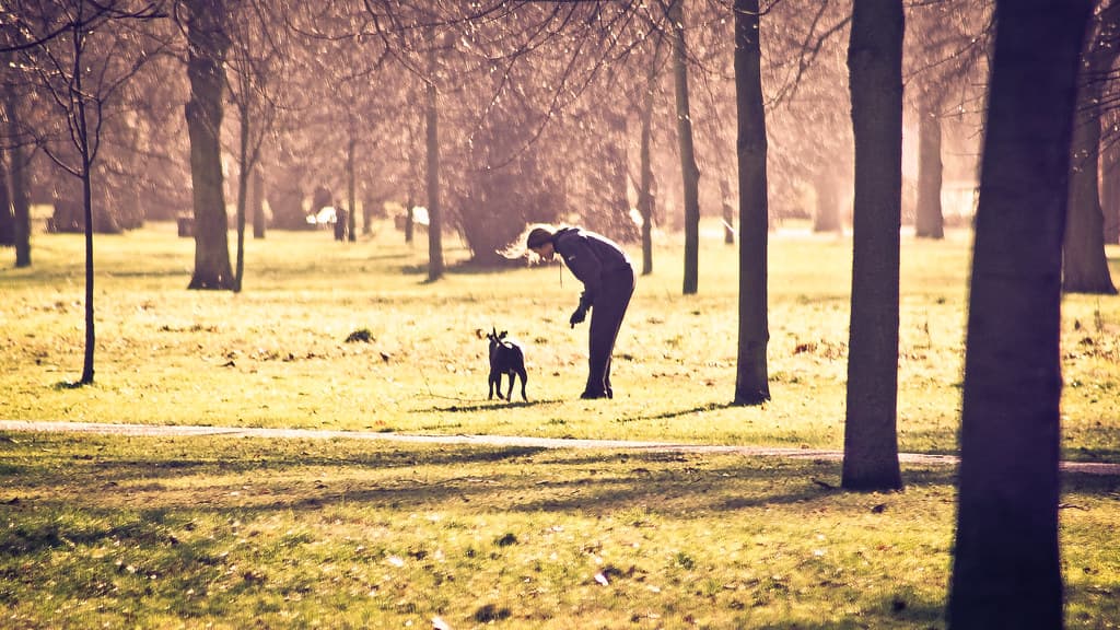 Surrenne's City Circadian Reset at The Emory: A Sleep-Led Retreat