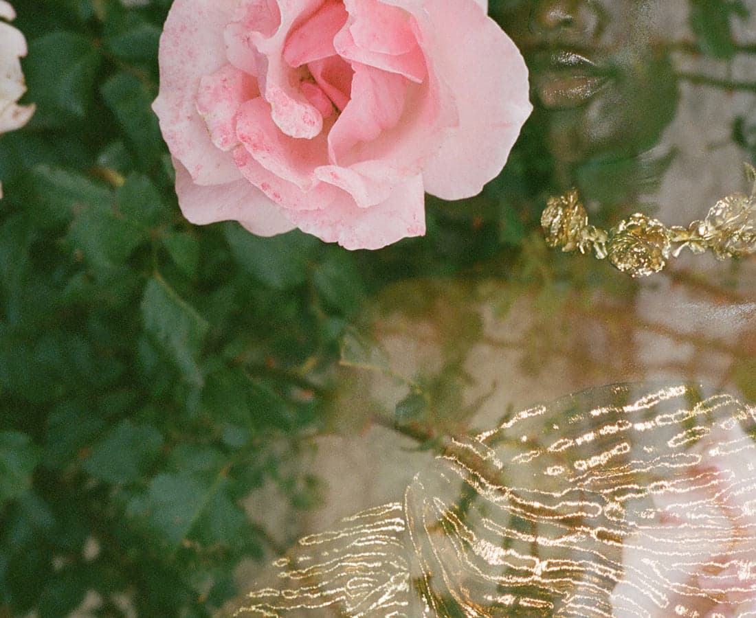 Ulla Johnson on Sloane Street and Chelsea's autumn shop openings