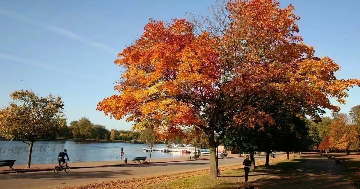 Autumn at The Berkeley: park suites, Surrenne and Cedric Grolet